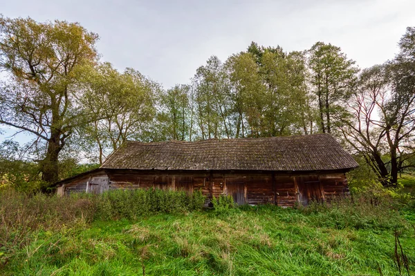 Nature Architecture Bois Dans Vallée Narew Podlasie Pologne — Photo