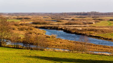 Biebrza Nehri Sonbahar güneşinin ışınlarında, Podlasie, Polonya