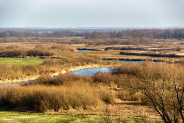 Biebrza Nehri Sonbahar güneşinin ışınlarında, Podlasie, Polonya