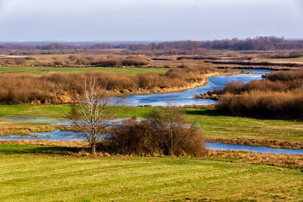 Biebrza Nehri Sonbahar güneşinin ışınlarında, Podlasie, Polonya