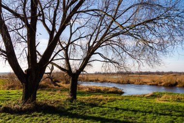 Biebrza Ulusal Parkı 'nda sonbahar, Podlasie, Polonya