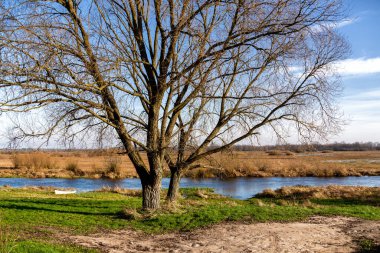 Biebrza Ulusal Parkı 'nda sonbahar, Podlasie, Polonya