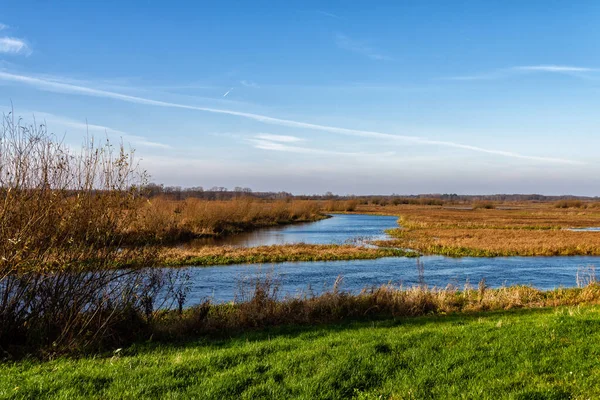 Ősz Biebrza Nemzeti Parkban Podlasie Lengyelország — Stock Fotó