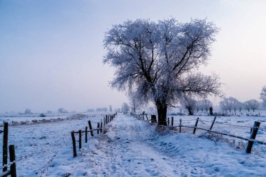  Karlı ve soğuk kışın güzelliği, Podlasie, Polonya