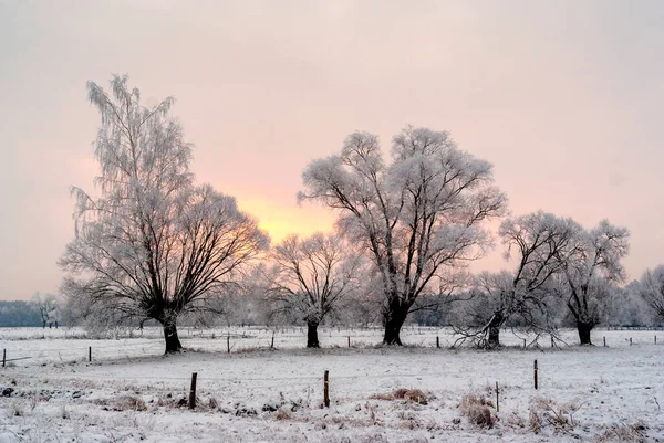 Красота Снежной Холодной Зимы Подляшье Польша — стоковое фото