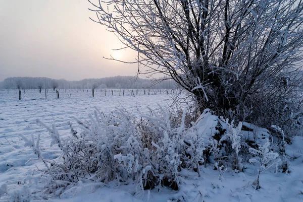Piękno Śnieżnej Mroźnej Zimy Podlasie Polska — Zdjęcie stockowe