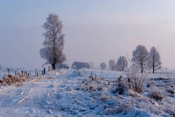 Bello Freddo Inverno Podlasie Polonia — Foto Stock
