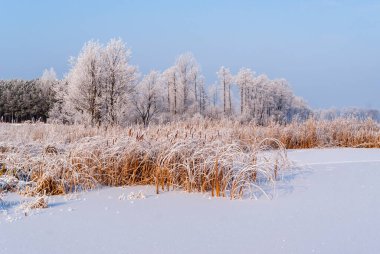 Podlasie, Polonya 'da güzel ve soğuk bir kış