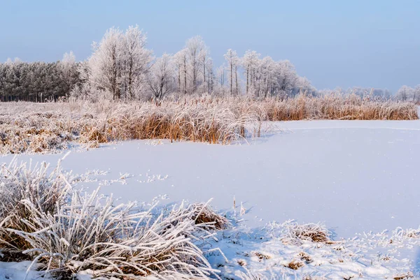 Beautiful Cold Winter Podlasie Poland — Stock Photo, Image