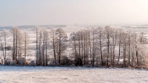 Sunny Frosty Day Beebrza Valley Podlasie Poland — стоковое фото