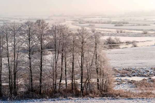 Sunny Frosty Day Beebrza Valley Podlasie Poland — стоковое фото