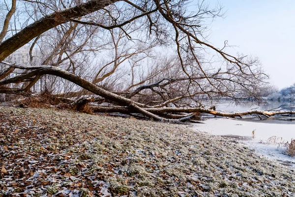 Река Бебжа Зимой Подляшье Польша — стоковое фото