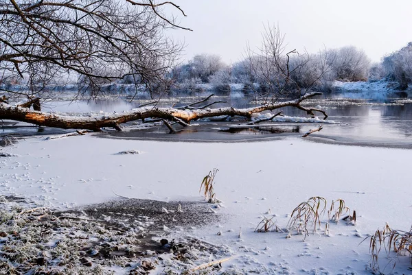Река Бебжа Зимой Подляшье Польша — стоковое фото