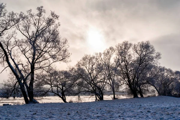 Fiume Biebrza Inverno Podlasie Polonia — Foto Stock