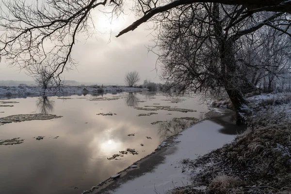 Rivière Biebrza Hiver Podlasie Pologne — Photo