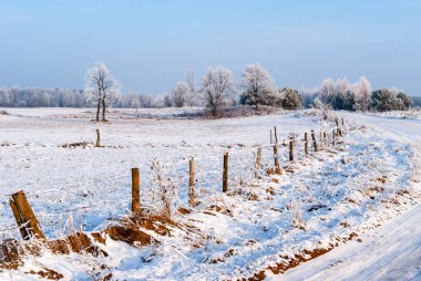 Polonya, Podlasie 'deki kış manzarasının güzelliği