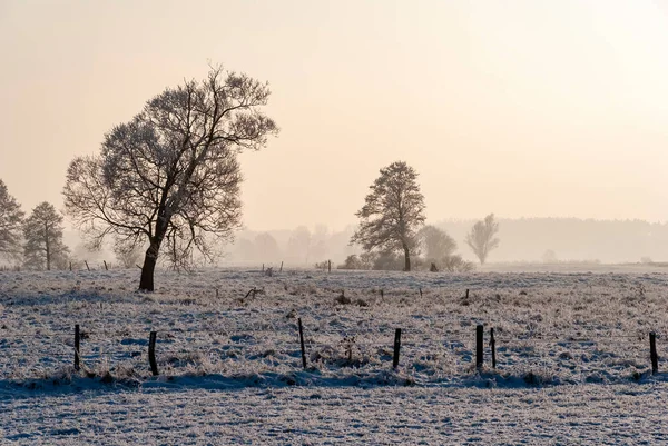 Piękno Zimowego Krajobrazu Podlasiu Polska — Zdjęcie stockowe