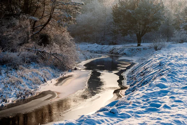 Beauté Paysage Hivernal Podlasie Pologne — Photo