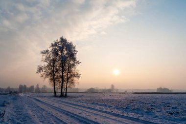 Narew Vadisi, Podlasie, Polonya 'da soğuk ve karlı bir kış