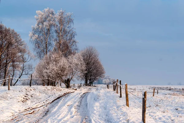 Zimna Śnieżna Zima Dolinie Narew Podlasie Polska — Zdjęcie stockowe