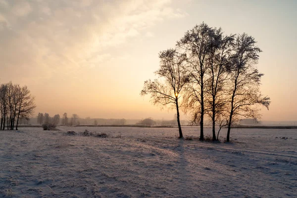 Inverno Freddo Nevoso Nella Valle Narew Podlasie Polonia — Foto Stock