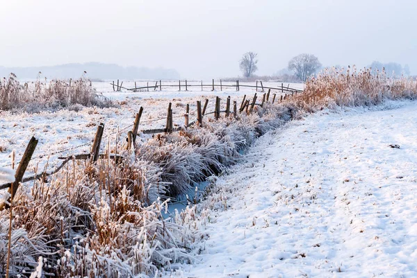 Koude Besneeuwde Winter Het Narew Dal Podlasie Polen Rechtenvrije Stockfoto's