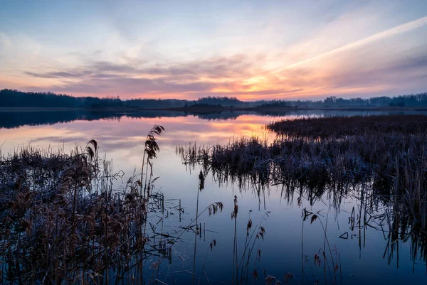 Manhã Junto Lagoas Dojlidy Podlasie Polônia — Fotografia de Stock
