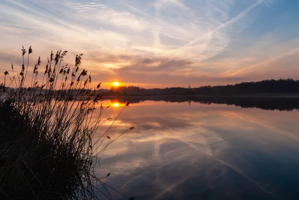 Morgen Den Teichen Dojlidy Podlasie Polen — Stockfoto