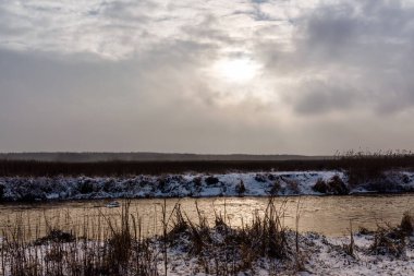 Narew Ulusal Parkı 'nda kış, Podlasie, Polonya