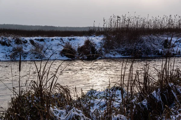 Hiver Dans Parc National Narew Podlasie Pologne — Photo