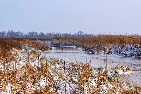 Winter Nationalpark Narew Podlasie Polen — Stockfoto