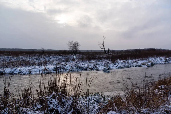 Narew Ulusal Parkı Nda Kış Podlasie Polonya — Stok fotoğraf