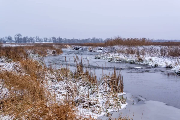 Зима Национальном Парке Нарев Подляшье Польша — стоковое фото