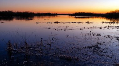 Biebrza, Podlasie, Polonya 'da ılık kış