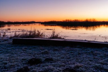Biebrza, Podlasie, Polonya 'da ılık kış