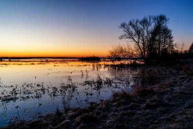 Biebrza, Podlasie, Polonya 'da ılık kış