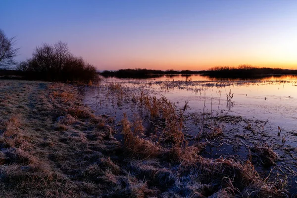 Hiver Doux Sur Biebrza Podlasie Pologne — Photo