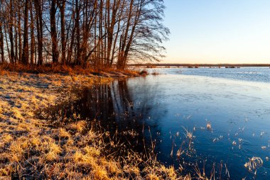 Biebrza, Podlasie, Polonya 'da ılık kış