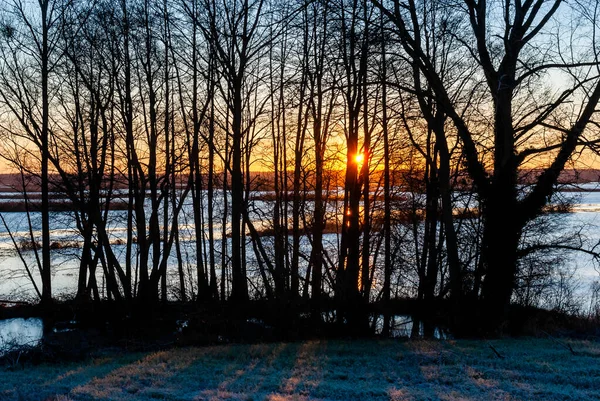 Мягкая Зима Бебже Подляшье Польша — стоковое фото