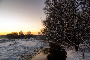 Soğuk ve karlı bir kışın güzelliği, Podlasie, Polonya