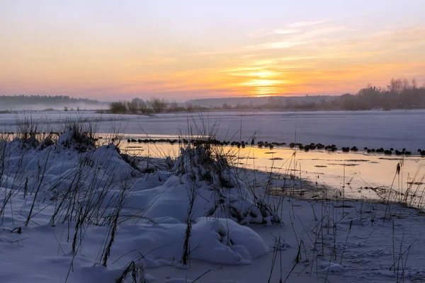 Skönheten Kall Och Snöig Vinter Podlasie Polen — Stockfoto