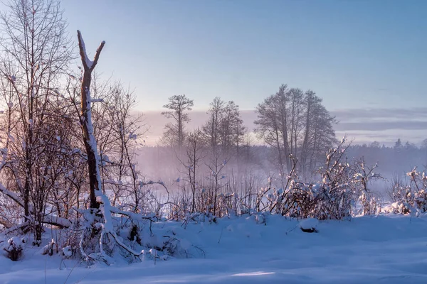 Schoonheid Van Een Koude Besneeuwde Winter Podlasie Polen — Stockfoto