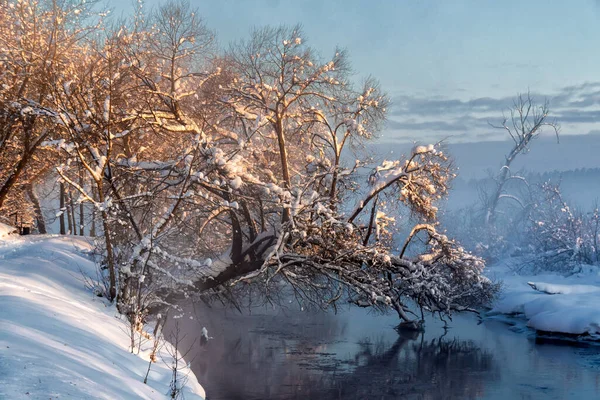 내리는 겨울의아름다움 폴란드의 포들래지 — 스톡 사진