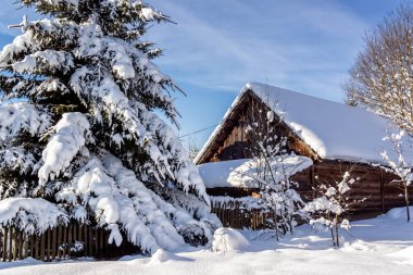 Polonya, Podlasie 'de soğuk ve karlı bir kışın güzelliği