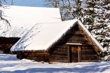 Polonya, Podlasie 'de soğuk ve karlı bir kışın güzelliği