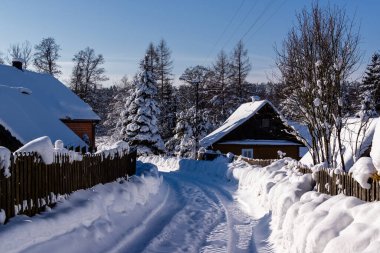 Podlasie, Podlasie, Polonya 'da soğuk ve karlı bir kış