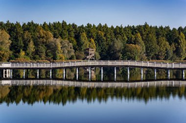 Knyszyska Ormanı 'ndaki Czapielwka Barajı' nda sonbahar.