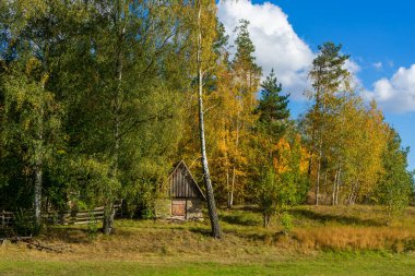 Dojlidzkie Gölü, Podlasie, Polonya 'da sonbahar sabahı