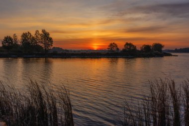 Dojlidzkie Gölü, Podlasie, Polonya 'da sonbahar sabahı