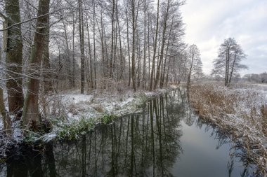 Supral Nehri 'nde Kış, Knyszyska Ormanı, Podlasie